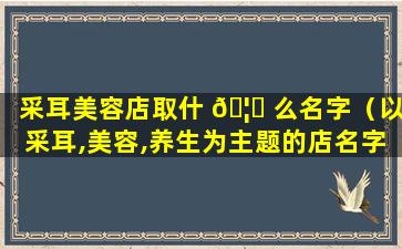 采耳美容店取什 🦉 么名字（以采耳,美容,养生为主题的店名字）